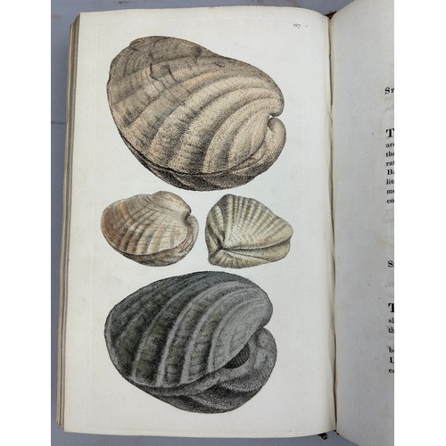 1 - JAMES SOWERBY (1757-1822) 'MINERAL CONCHOLOGY' VOL 1-4 COMPLETE, 1812-1823. 

An exceptionally rare ... 