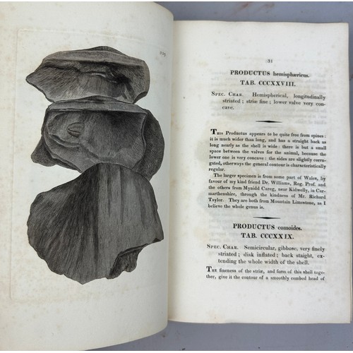 1 - JAMES SOWERBY (1757-1822) 'MINERAL CONCHOLOGY' VOL 1-4 COMPLETE, 1812-1823. 

An exceptionally rare ... 