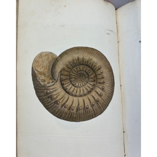 1 - JAMES SOWERBY (1757-1822) 'MINERAL CONCHOLOGY' VOL 1-4 COMPLETE, 1812-1823. 

An exceptionally rare ... 