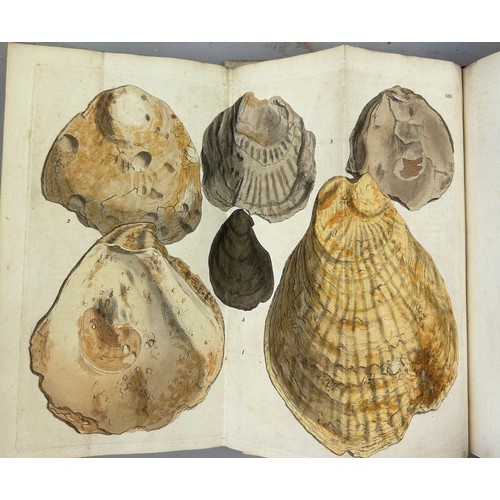 1 - JAMES SOWERBY (1757-1822) 'MINERAL CONCHOLOGY' VOL 1-4 COMPLETE, 1812-1823. 

An exceptionally rare ... 