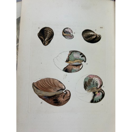 1 - JAMES SOWERBY (1757-1822) 'MINERAL CONCHOLOGY' VOL 1-4 COMPLETE, 1812-1823. 

An exceptionally rare ... 