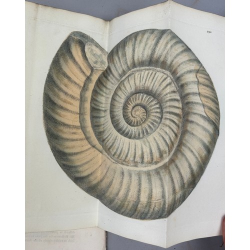 1 - JAMES SOWERBY (1757-1822) 'MINERAL CONCHOLOGY' VOL 1-4 COMPLETE, 1812-1823. 

An exceptionally rare ... 