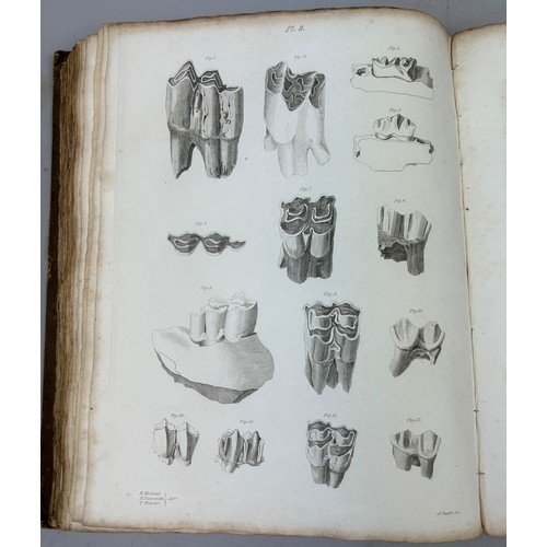 5 - WILLIAM BUCKLAND (1784-1856) 'RELIQUIAE DILUVIANAE', 1824. 

Second edition, 27 plates some hand col... 