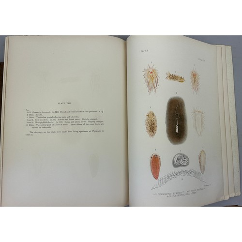 21 - CHARLES ELIOT (1834-1926) 'A MONOGRAPH OF BRITISH NUDIBRANCHIATE MOLLUSCA', 1910

Eight coloured pla... 