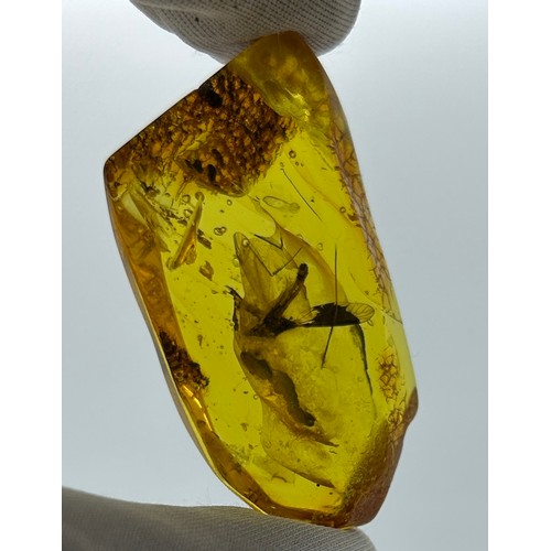 46 - A LARGE CRANEFLY IN AMBER, 

Baltic circa 35-40million years old.

Collection of a gentleman of the ... 