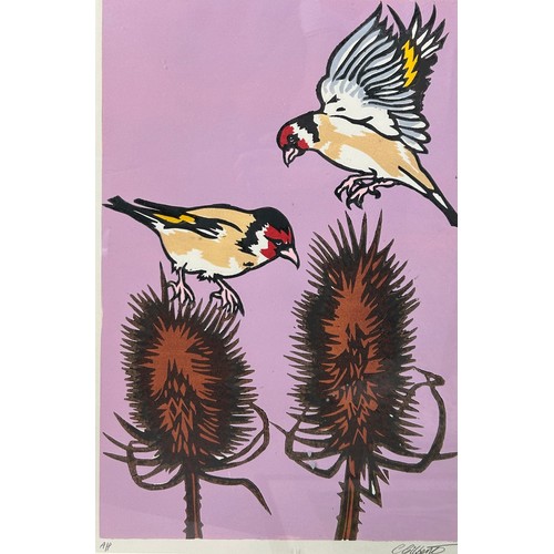 135 - CHRIS GILBERT (BRITISH) THREE COLOURED WOODCUT PRINTS  OF BIRDS (3), 

30cm x 45cm 
45cm x 30cm 
45c... 