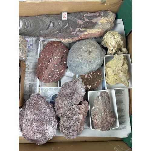 35 - THREE TRAYS OF FOSSILS, to include ammonites, coral, pudding stone, cast trilobites and more (Qty)

... 