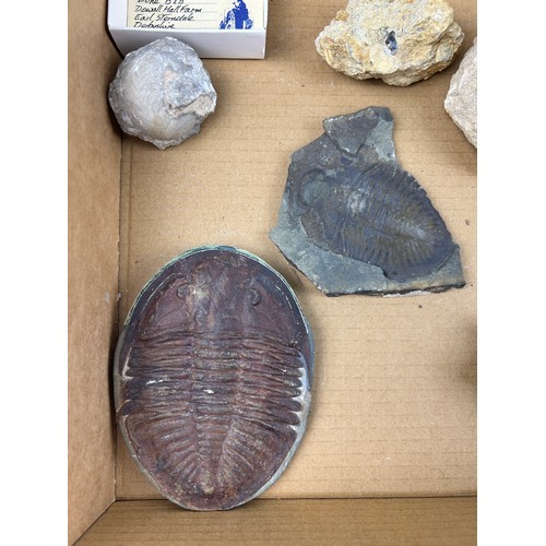 40 - A COLLECTION OF FOSSILS AND CASTS, to include Asteracanthus crushing shark teeth, ichthyosaur verteb... 