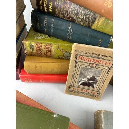 490 - A COLLECTION OF ANTIQUE BOOKS TO INCLUDE TOPICS SUCH AS MILITARY, ART, NATURE AND MORE (Qty)