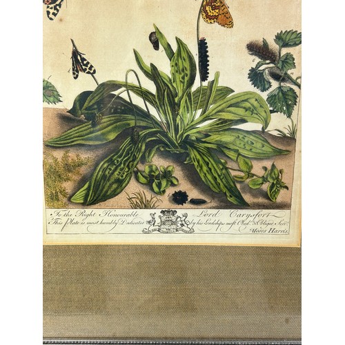 274 - MOSES HARRIS (1730-1787),

A set four hand coloured engraved plates of butterflies from ‘The Aurelia... 