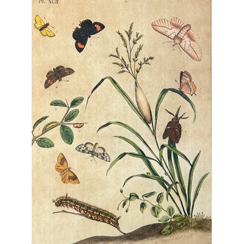 274 - MOSES HARRIS (1730-1787),

A set four hand coloured engraved plates of butterflies from ‘The Aurelia... 