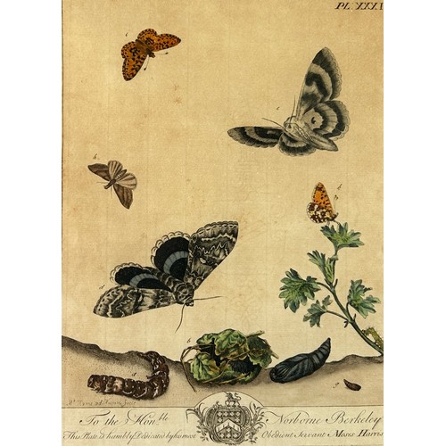 274 - MOSES HARRIS (1730-1787),

A set four hand coloured engraved plates of butterflies from ‘The Aurelia... 