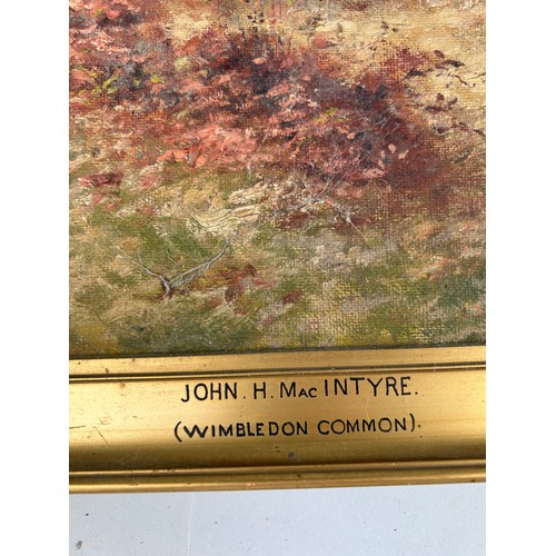 287 - WIMBLEDON INTEREST: JOHN H MACINTYRE OIL PAINTING OF WIMBLEDON COMMON

45cm x 29cm