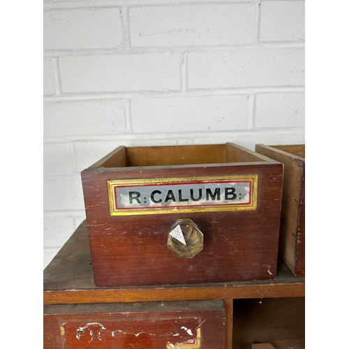 454 - A LARGE EARLY 20TH CENTURY APOTHECARY CABINET WITH ORIGINAL GLASS LABELS, 

For restoration, one dra... 