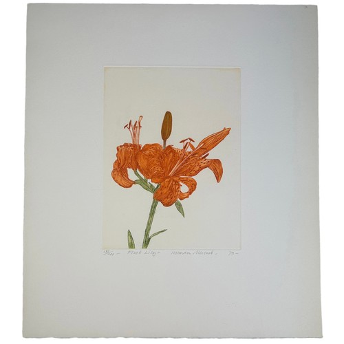 420 - NORMAN STEVENS (1937-1988) 'FIRST LILY', 

Aquatint, signed by the artist in pencil and dated 1979, ... 