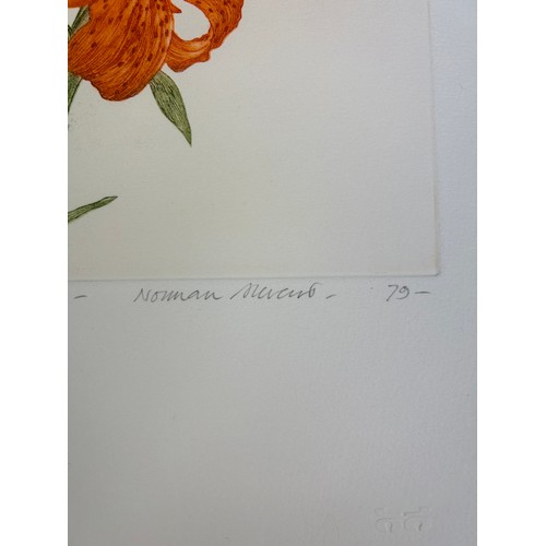 420 - NORMAN STEVENS (1937-1988) 'FIRST LILY', 

Aquatint, signed by the artist in pencil and dated 1979, ... 