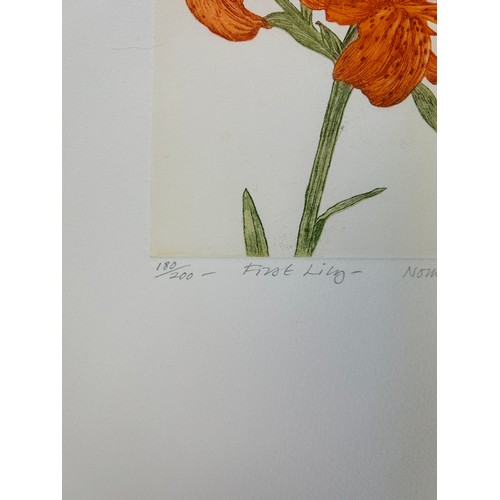 420 - NORMAN STEVENS (1937-1988) 'FIRST LILY', 

Aquatint, signed by the artist in pencil and dated 1979, ... 