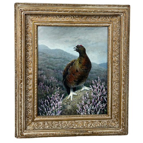 373 - AN OIL ON BOARD PAINTING OF A GROUSE IN THE HIGHLANDS,

Mounted in a limed and gilt frame.