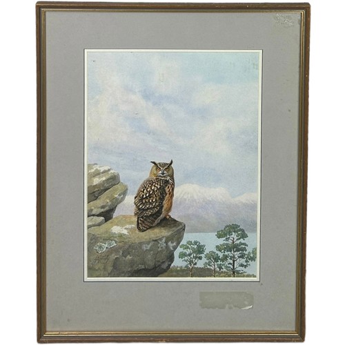 380 - BRUCE HENRY (BRITISH B.1918) EUROPEAN EAGLE OWL, 

Signed 'Bruce Henry', dated 1984. Pencil and wate... 