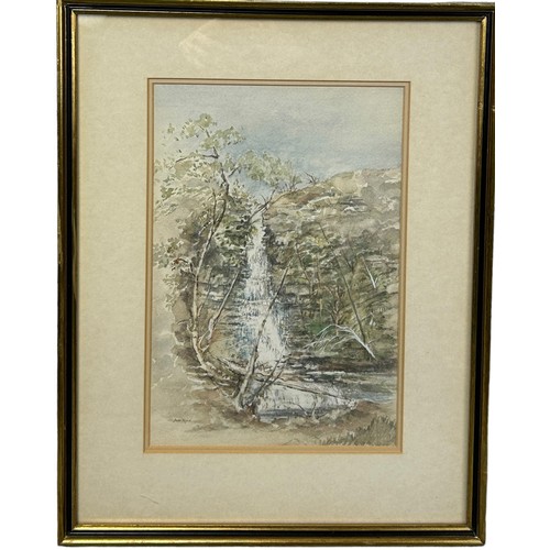 389 - JOAN PRYNN WATERCOLOUR ON PAPER OF TREES BESIDE A WATERFALL,

Mounted in a frame and glazed.