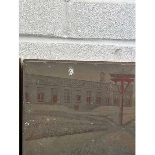 399 - TWO ETCHING PLATES DEPICTING JAMES CARTER AND CO SEED PLANT IN RAYNES PARK