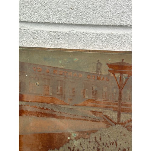 399 - TWO ETCHING PLATES DEPICTING JAMES CARTER AND CO SEED PLANT IN RAYNES PARK