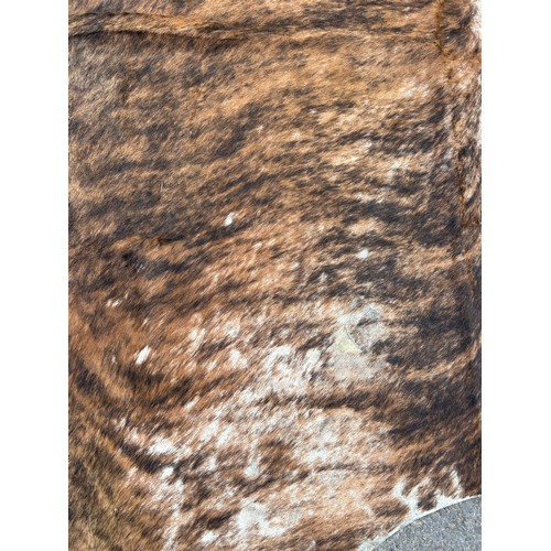 557 - A LARGE COW HIDE RUG,

195cm x 180cm