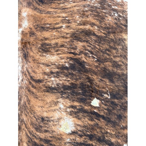 557 - A LARGE COW HIDE RUG,

195cm x 180cm