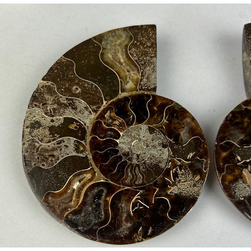 218 - A CUT AND POLISHED AMMONITE FOSSIL

10cm x 8cm 

Large Ammonite Fossil from Madagascar, cut and poli... 