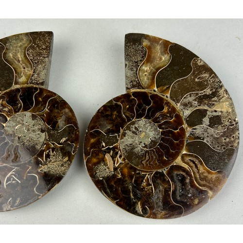 218 - A CUT AND POLISHED AMMONITE FOSSIL

10cm x 8cm 

Large Ammonite Fossil from Madagascar, cut and poli... 