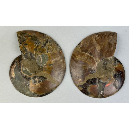 218 - A CUT AND POLISHED AMMONITE FOSSIL

10cm x 8cm 

Large Ammonite Fossil from Madagascar, cut and poli... 