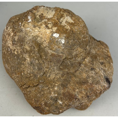 208 - A LARGE DINOSAUR ‘COPROLITE’ OR FOSSIL POO FROM UTAH

A very large dinosaur coprolite or ‘fossil poo... 