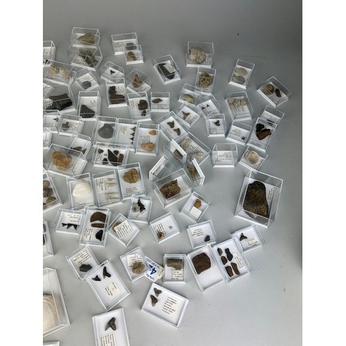 223 - A LARGE COLLECTION OF FOSSIL SHARK TEETH AND SHELLS FROM USA

Each specimen boxed and labelled. Ex B... 