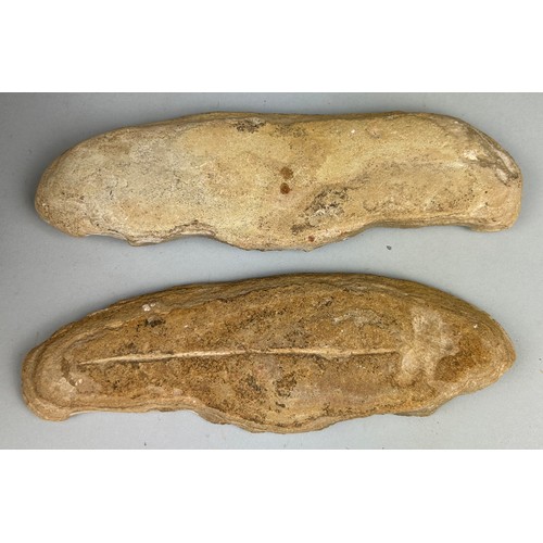 222 - A FOSSIL FISH POSITIVE/NEGATIVE STONE

20cm L 

This stone was split open to reveal a complete fossi... 