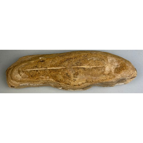 222 - A FOSSIL FISH POSITIVE/NEGATIVE STONE

20cm L 

This stone was split open to reveal a complete fossi... 