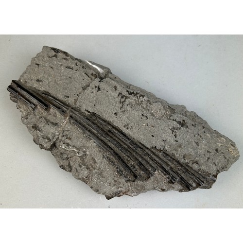 216 - FOSSIL ICHTHYOSAURUS MARINE DINOSAUR RIBS FROM LYME REGIS

16cm x 9cm 

From the Jurassic coast, pre... 