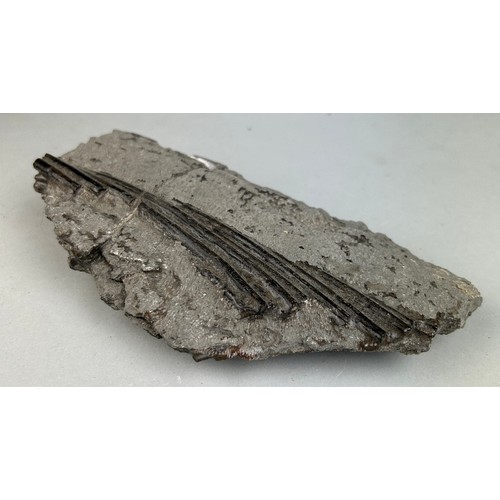 216 - FOSSIL ICHTHYOSAURUS MARINE DINOSAUR RIBS FROM LYME REGIS

16cm x 9cm 

From the Jurassic coast, pre... 