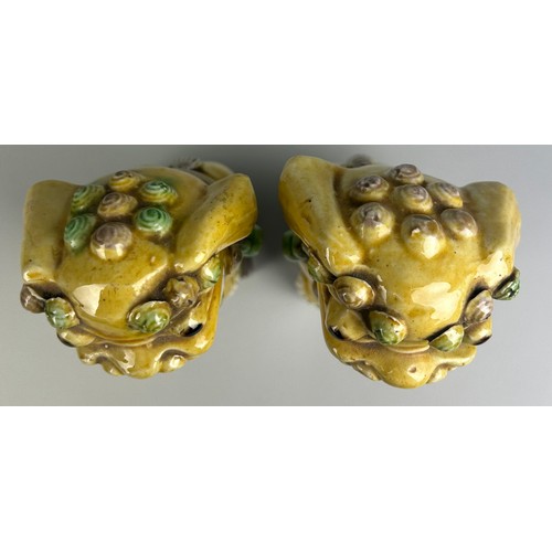 110A - A PAIR OF SANCAI GLAZED FOO DOGS, 

25cm x 9cm