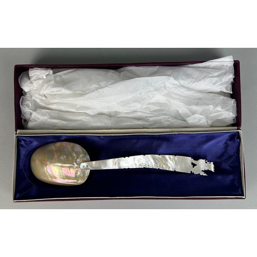 380 - A CHINESE MOTHER OF PEARL SPOON,

In presentation box. 

Spoon 28cm L