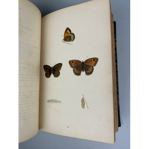 305 - REVEREND F. O. MORRIS A HISTORY OF BRITISH BIRDS LONDON AND ANOTHER VOLUME 'BRITISH BUTTERFLIES' (7)