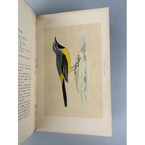 305 - REVEREND F. O. MORRIS A HISTORY OF BRITISH BIRDS LONDON AND ANOTHER VOLUME 'BRITISH BUTTERFLIES' (7)