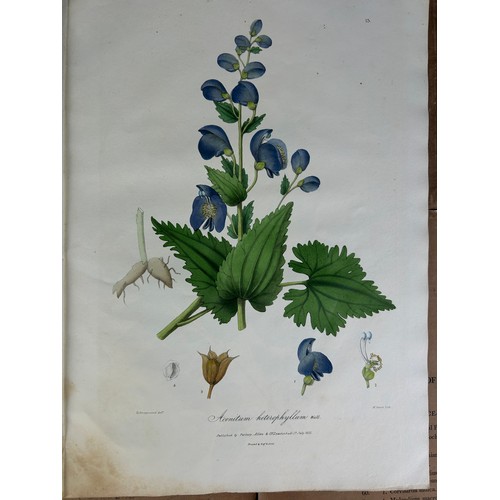 303 - JOHN FORBES ROYLE (1799-1858): ILLUSTRATIONS OF THE BOTANY AND OTHER BRANCHES OF THE NATURAL HISTORY... 