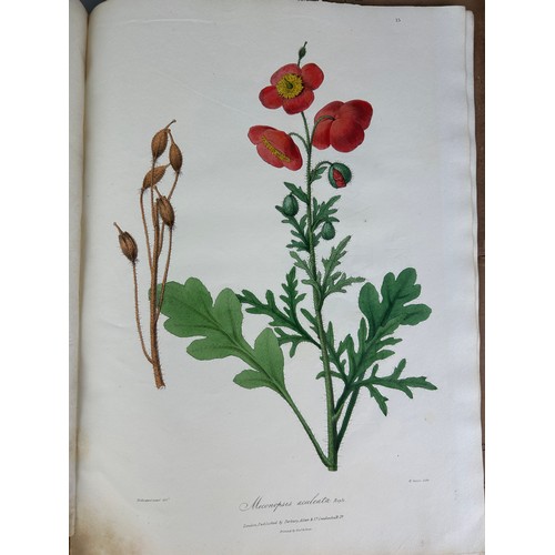 303 - JOHN FORBES ROYLE (1799-1858): ILLUSTRATIONS OF THE BOTANY AND OTHER BRANCHES OF THE NATURAL HISTORY... 