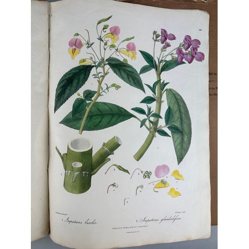 303 - JOHN FORBES ROYLE (1799-1858): ILLUSTRATIONS OF THE BOTANY AND OTHER BRANCHES OF THE NATURAL HISTORY... 