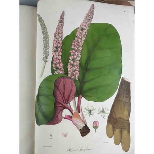 303 - JOHN FORBES ROYLE (1799-1858): ILLUSTRATIONS OF THE BOTANY AND OTHER BRANCHES OF THE NATURAL HISTORY... 