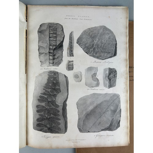 303 - JOHN FORBES ROYLE (1799-1858): ILLUSTRATIONS OF THE BOTANY AND OTHER BRANCHES OF THE NATURAL HISTORY... 