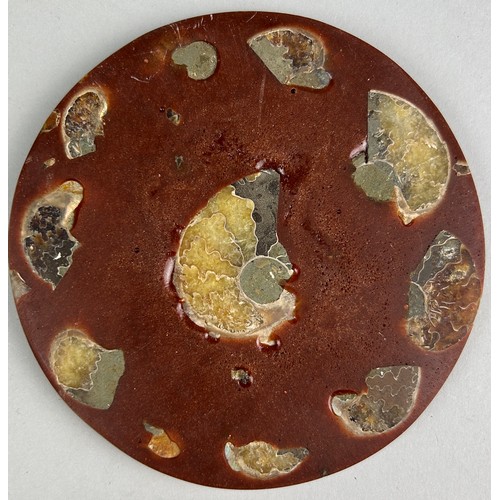 255 - POLISHED FOSSIL AMMONITE PLATE

A COMPOSITE PLATE COMPRISING NUMEROUS MADAGAASCAN AMMONITE FOSSILS, ... 