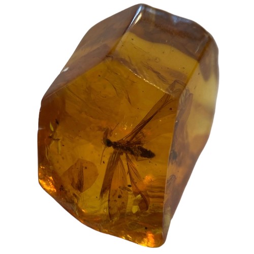 268 - A WINGED INSECT FOSSIL IN AMBER 

From Chiapas, Mexico. Circa 23-28 million years old.