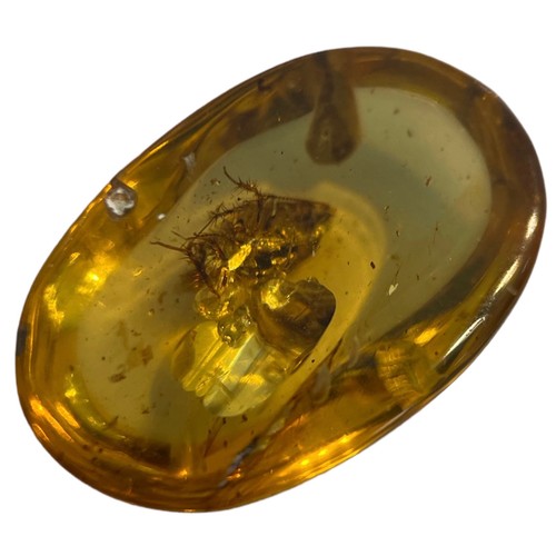 269 - A COCKROACH FOSSIL IN DINOSAUR AGED AMBER

From the Amber mines of Kachin, Myanmar. Cretaceous circa... 