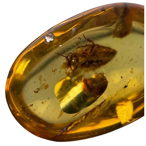 269 - A COCKROACH FOSSIL IN DINOSAUR AGED AMBER

From the Amber mines of Kachin, Myanmar. Cretaceous circa... 